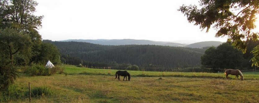 Bild "Umgebung:Pferdeweide_835px.jpg"